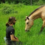 a genoux devant un cheval