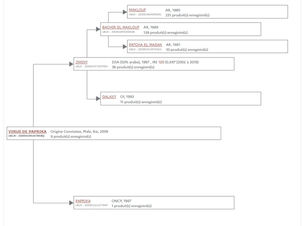 arbre généalogique de l'étalon virus de paprika